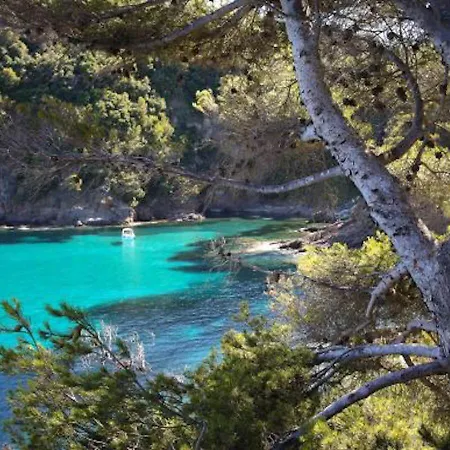 207-les Pieds Dans L’eau à 30m De La Cavalaire-sur-Mer